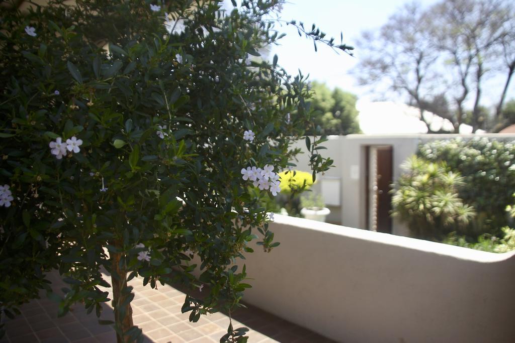 יוהנסבורג Melville Manor Guest House מראה חיצוני תמונה