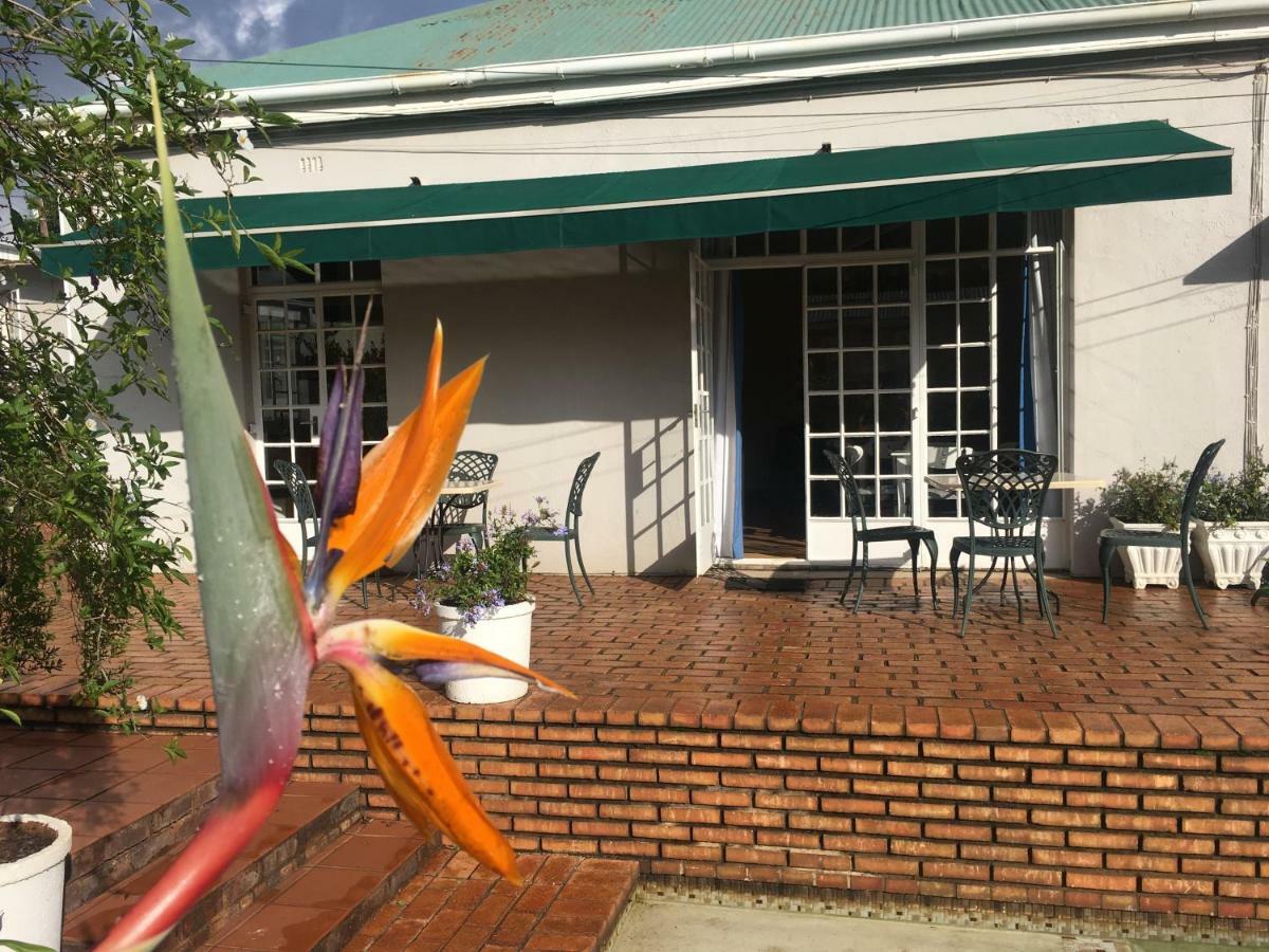 יוהנסבורג Melville Manor Guest House מראה חיצוני תמונה